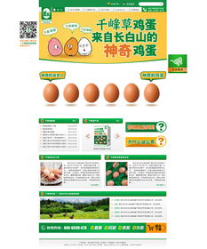雞蛋市場活動方案策劃