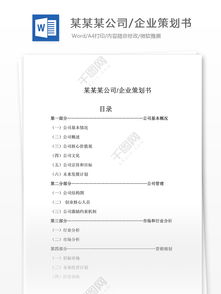 公司企業(yè)方案策劃書