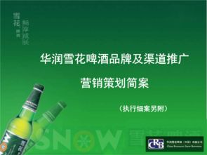 雪花啤酒營(yíng)銷策劃方案