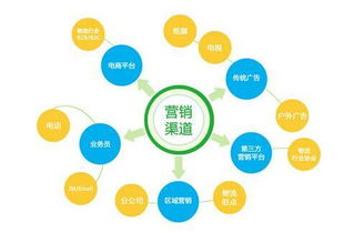 低成本的營銷策劃方案