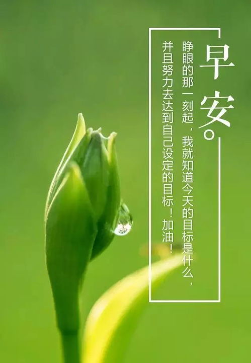 勵志早安心語(yǔ)正能量句子簡(jiǎn)短