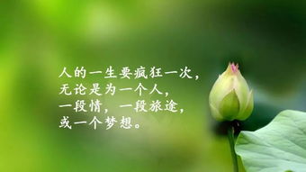短語(yǔ),句子,能量,搞笑