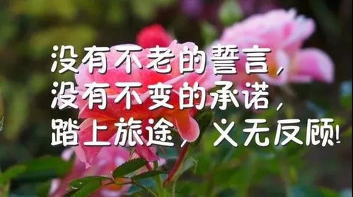 關(guān)于早上好的正能量的句子經(jīng)典語錄