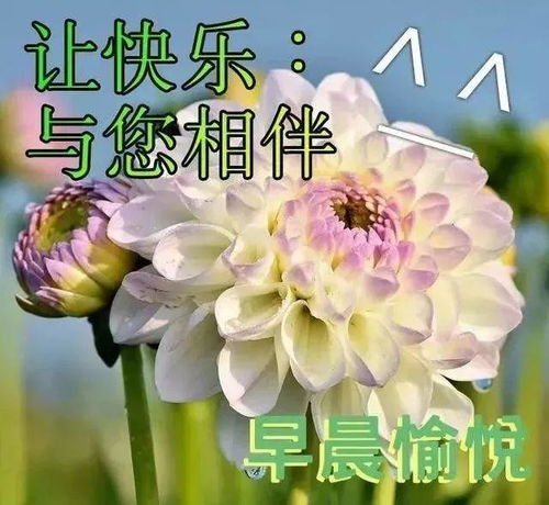 早安朋友圈問(wèn)候語(yǔ)正能量句子,早安問(wèn)候語(yǔ)正能量簡(jiǎn)短句子,秋天早安問(wèn)候語(yǔ)正能量句子