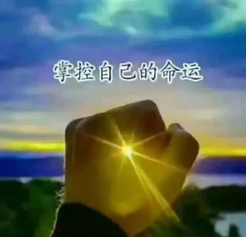 心向陽光正能量的句子和,陽光勵(lì)志正能量的句子,陽光正能量的說說唯美句子