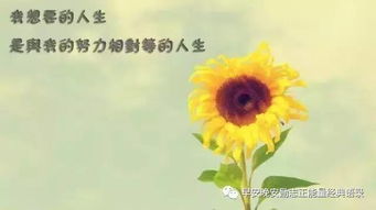 勵志句子早安心語正能量
