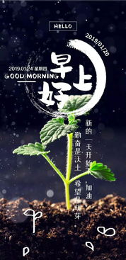 交有正能量的朋友句子