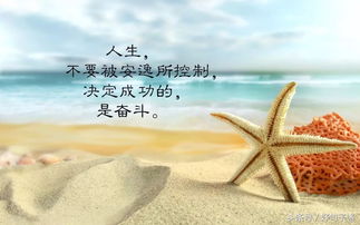 正能量我相信勵志句子