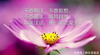 正能量生活勵志短句子,激勵生活正能量的短句子,感慨生活正能量的短句子