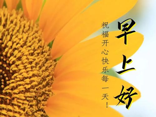 新的一天正能量句子早安勵(lì)志心語大全,新的一天新的開始正能量句子早安,新的一天充滿陽光正能量的句子