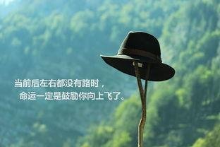 句子,曲折,能量,經(jīng)歷