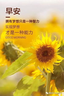 好運(yùn)正能量句子
