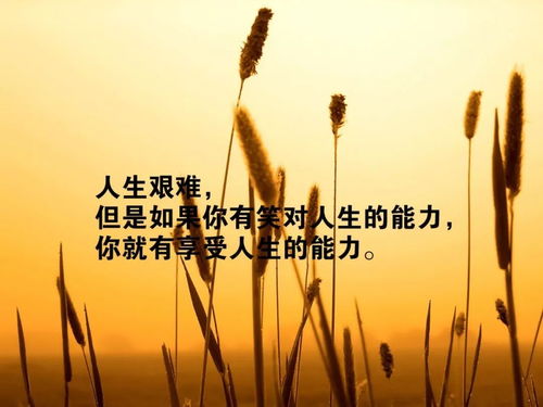 句子,能量,經典