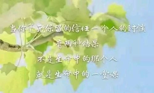 句子,個(gè)性簽名,能量,適合