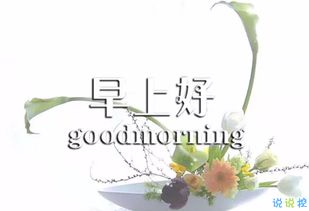 早上好勵(lì)志正能量句子,早上好正能量句子簡短,早上好朋友圈正能量句子簡短