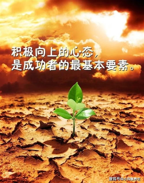 努力的句子正能量,努力向上的句子正能量,努力加油的句子正能量