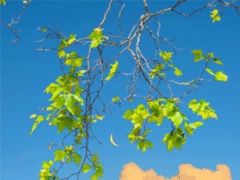 打雞血語(yǔ)錄正能量句子