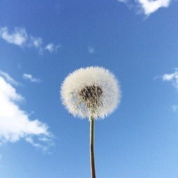 積極向上正能量的句子個性簽名,正能量句子勵志個性簽名,正能量的句子微信個性簽名大全
