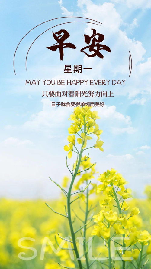 早上好勵志正能量句子2021,早上好句子正能量,早上好的句子正能量短語