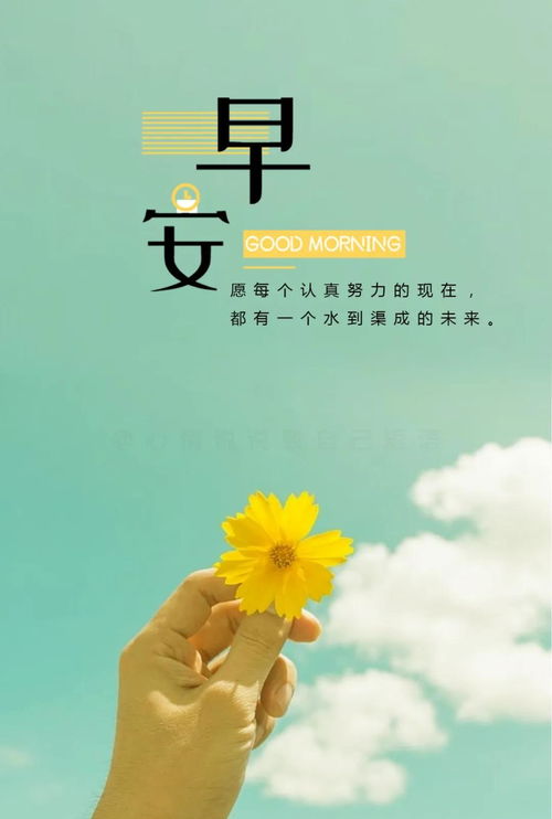 溫暖正能量的早安句子說(shuō)說(shuō)心情短語(yǔ)