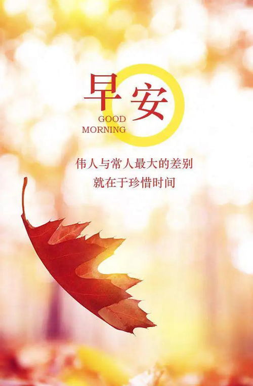 早安勵(lì)志心情正能量的句子,早安的正能量的句子說(shuō)說(shuō)心情,早安勵(lì)志正能量的句子