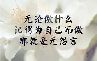 全部的正能量的句子