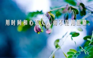 勵志工作正能量句子團隊