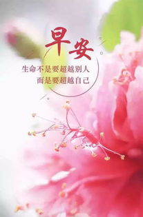 幫我,句子,能量,心靈雞湯