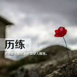 早安,簡(jiǎn)短,句子,勵志