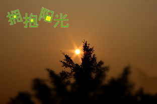 早晨起來(lái)?yè)肀?yáng)正能量的句子