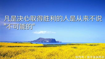 句子,語(yǔ)句,能量,感悟