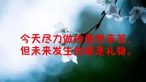 激勵自己自信的句子正能量