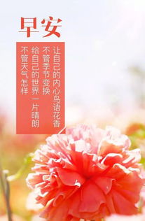 適合兒童正能量的句子