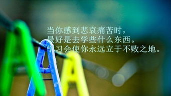 朋友圈晚安正能量的句子,早上男人發(fā)朋友圈的正能量句子和,朋友圈正能量句子人人點贊最高