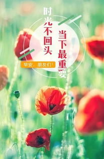 早安勵志正能量的句子,好心態(tài)早安正能量句子,早安語(yǔ)錄正能量的句子