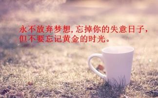 工作正能量說(shuō)說(shuō)心情的句子