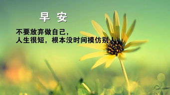早安,短語(yǔ),句子,勵志