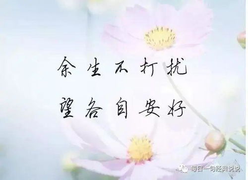 句子,能量,難過