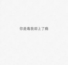 黑字,白底,句子,能量