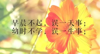 家庭主婦正能量情感句子