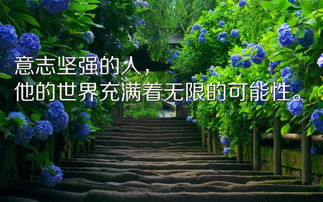圣經(jīng)關(guān)于工作正能量的句子