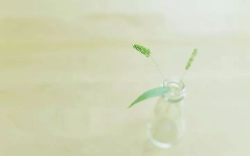 正能量激勵(lì)人的短句子發(fā)圈