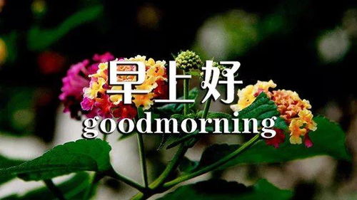 關(guān)于堅持的正能量句子,正能量?jì)?yōu)秀句子,正能量滿(mǎn)滿(mǎn)的勵志句子