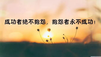 經(jīng)典工作正能量的短句子,工作正能量的短句子勵志,工作積極向上正能量的短句子