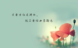 戀愛(ài)正能量句子說(shuō)說(shuō)心情,戀愛(ài)正能量句子勵(lì)志短句子,戀愛(ài)正能量的句子