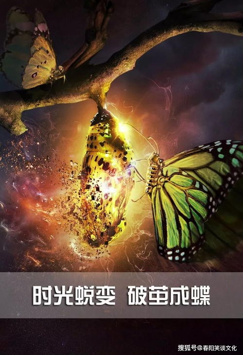 致青春正能量的句子,積極向上的句子青春正能量生活,關(guān)于堅(jiān)持的正能量句子勵志簡短