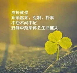正能量句子勵志早安語(yǔ)