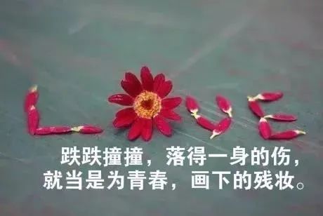 獻(xiàn)血,句子,能量