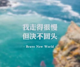 英文,句子,能量,運動(dòng)