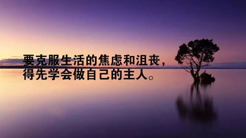 句子,能量,精致,心態(tài)